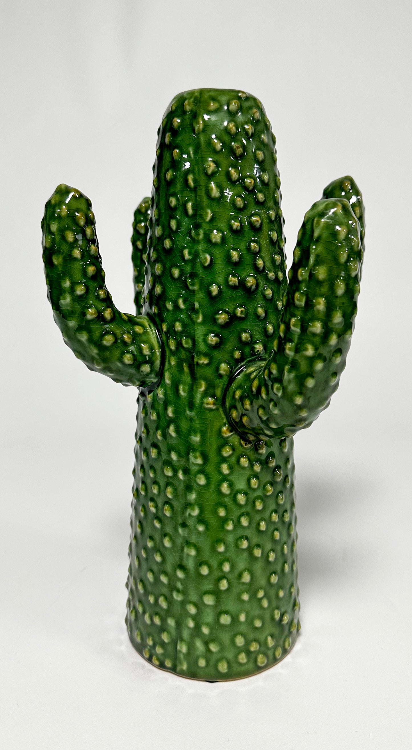 Ceramic Cactus shaped Decorative Accessory