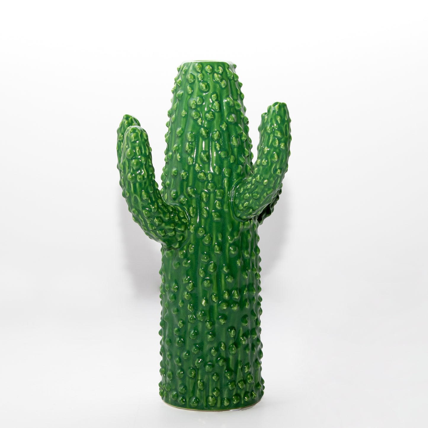 Cacto Ceramic Decor Accessory in Cactus Green