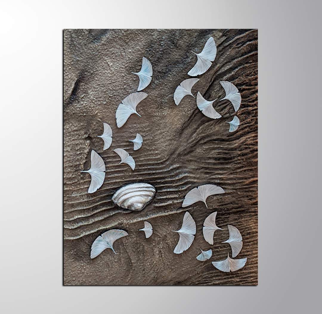 Shells and Sand