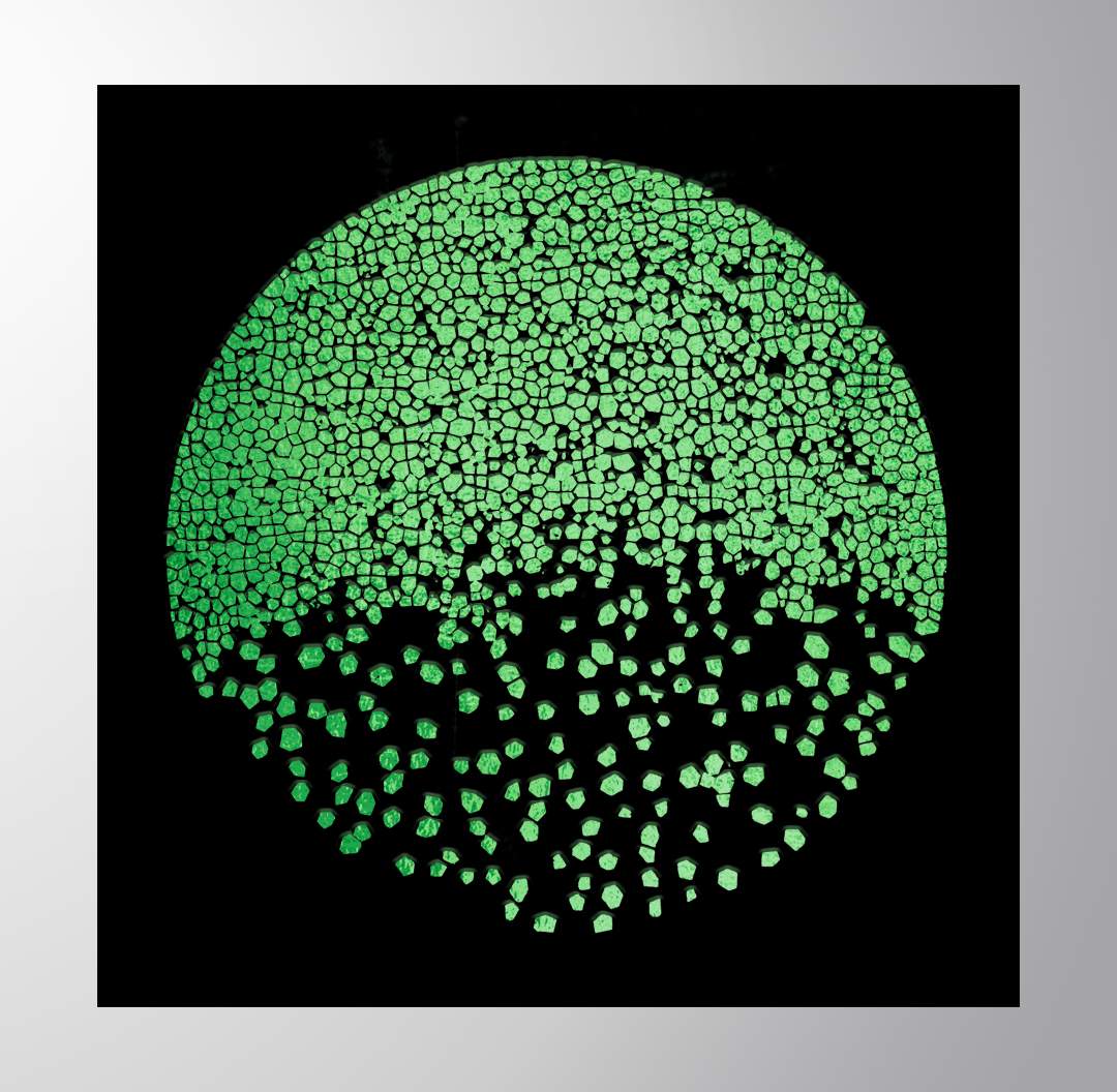 Emerald Enigma