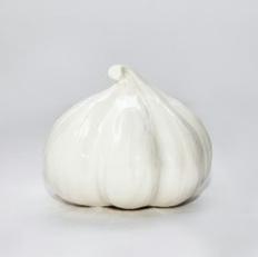 Giant Garlic By David Kove