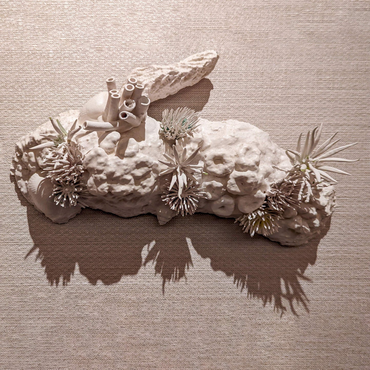 Coral Reef 3D Wall Art