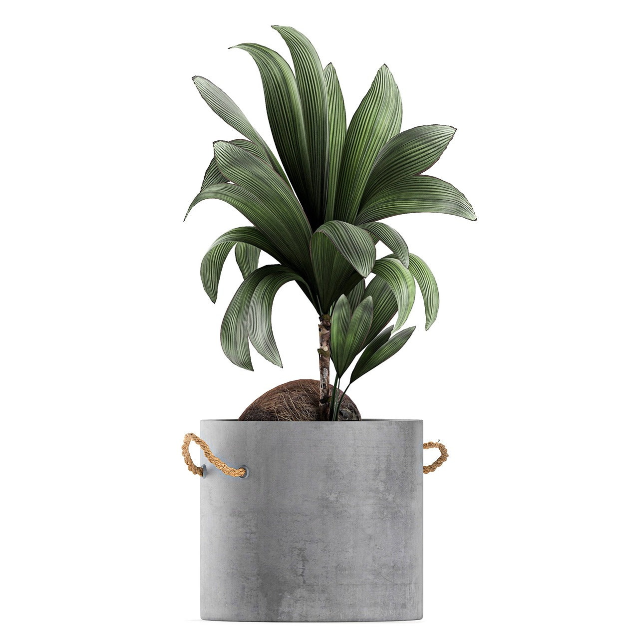 Decorative Planter for Interior 11
