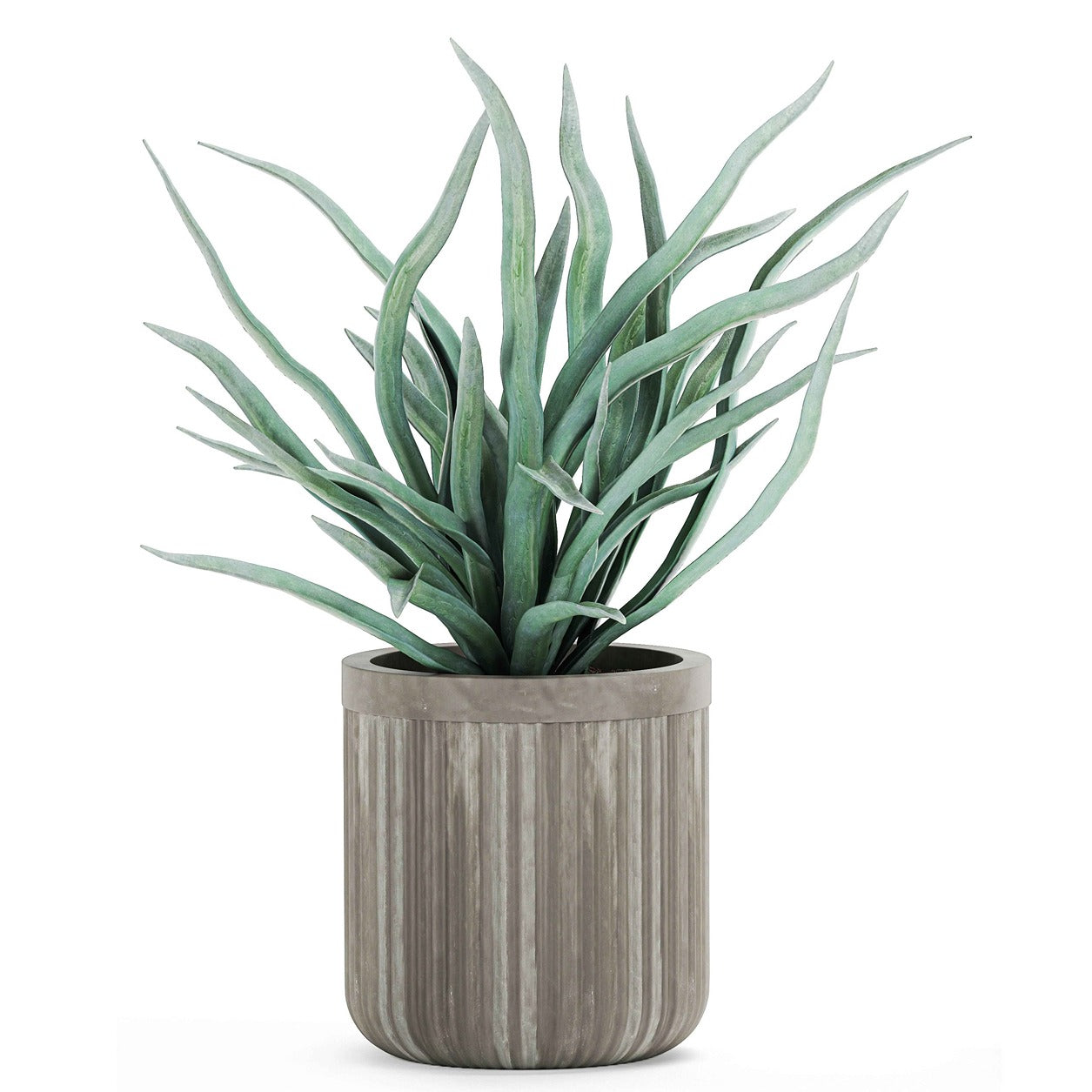 Decorative Planter for Interior 14