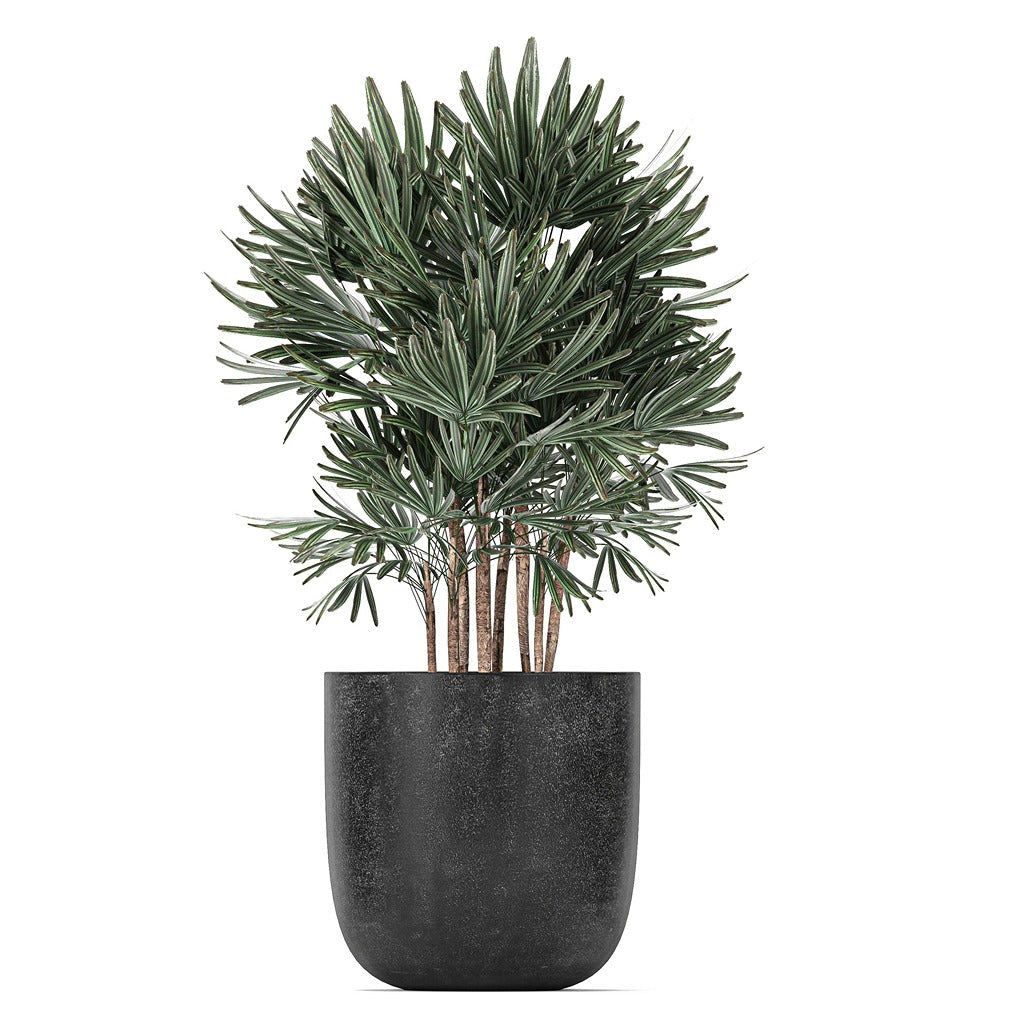 Decorative Planter for Interior 17