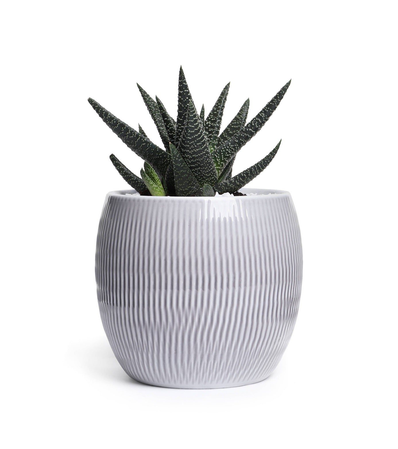 Decorative Planter for Interior 18