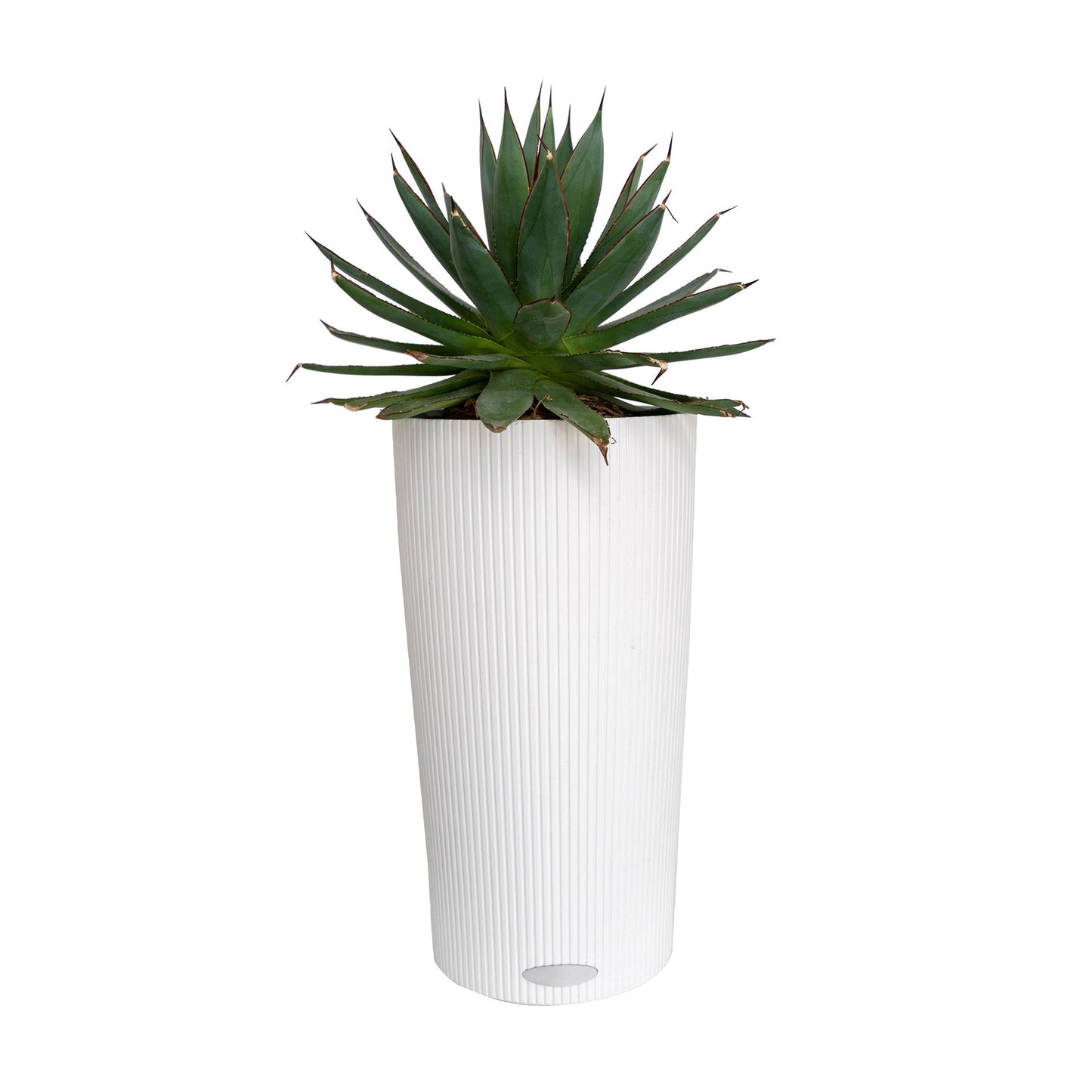 Decorative Planter for Interior 19