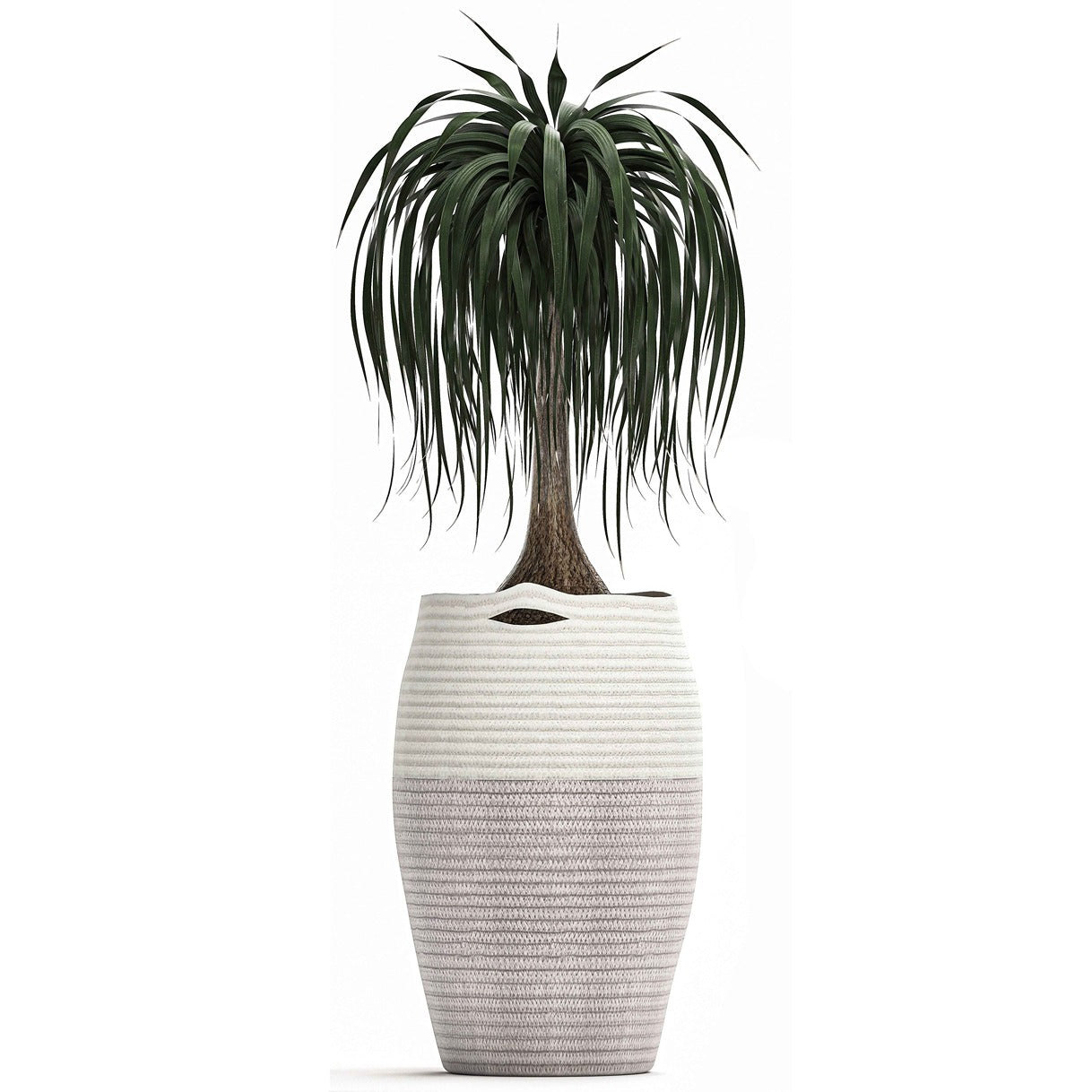 Decorative Planter for Interior 7
